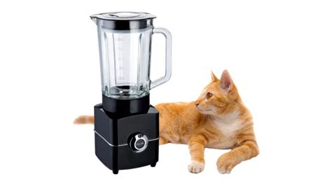 cat in the blender video twitter|The Cat In Blender Video: A Disturbing Tale Of。